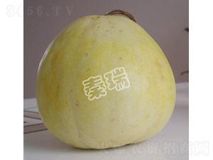 ������̖-��ϷN��-����