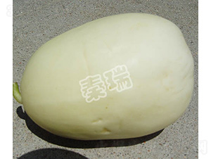 ����һ̖-��ϷN��-����