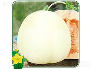 ѩ�۶�̖-��ϷN��-����