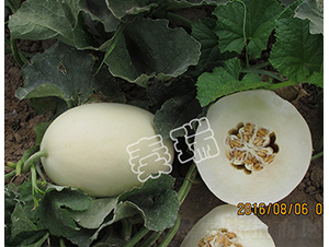 �������-��ϷN��-����