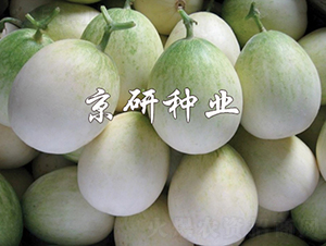 ����2008-��ϷN��-���зN�I(y��)