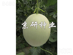 �����2̖-��ϷN��-���зN�I(y��)