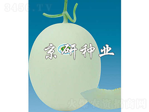 ����3̖-��ϷN��-���зN�I(y��)