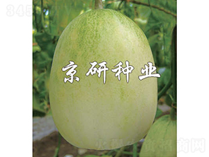 ����10̖-��ϷN��-���зN�I(y��)