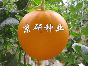 ����ɯ��2̖-��ϷN��-���зN�I(y��)