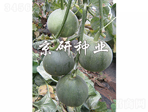 ����G��3̖-��ϷN��-���зN�I(y��)