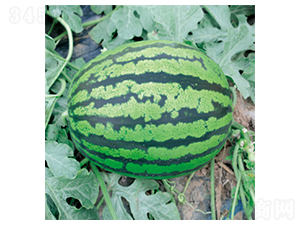 ��ԽAK-���ϷN��-�����N�I(y��)