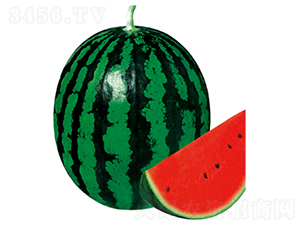 �����\��-���ϷN��-�����N�I(y��)