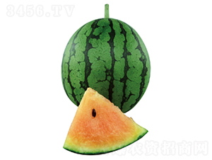 ����С�_(d��)-���ϷN��-�����N�I(y��)