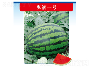 �띙(r��n)һ̖(h��o)-���ϷN��-�����N�I(y��)