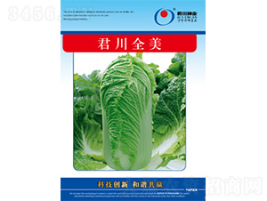 君川全美-白菜種子-君川種業(yè)