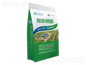 微生物菌劑-肽豐·易盛-金城肽豐