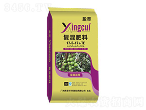 ��(ji��n)�����Ï�(f��)�����17-5-17+TE-ӯ��-�S�շʘI(y��)