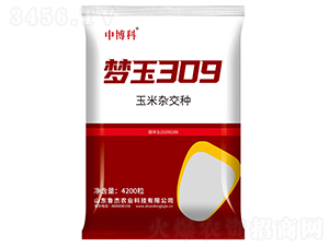 夢玉309玉米種子-中博科-魯杰農(nóng)業(yè)