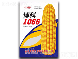 博科1066玉米種子-中博科-魯杰農(nóng)業(yè)