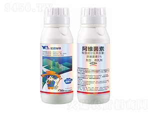 5%���S����-�{(l��n)؈�ǻ�