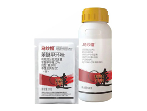 10%���Ѽ׭h(hu��n)��Ҹ���-����ñ-�|�h����