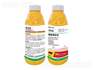 30%��������ݬȥ��800��-���݃|-�f��