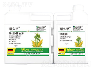 33%��������ݬȥ��+8%�h(hu��n)��ͪ-���ü�-�f��