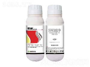 30%������������-�(y��ng)�n-�Ұ�r(n��ng)��