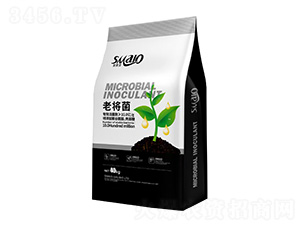 ΢�������-�ό���-˹����