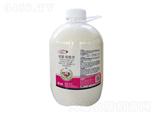 0.4%嘧菌·噁霉靈顆粒劑-包地護(全水溶)-湯普樂