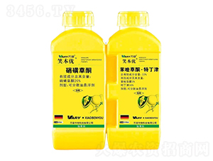 20%���ǲ�ͪ+33%�����ͪ���ض���-Ц����(y��u)-�f��