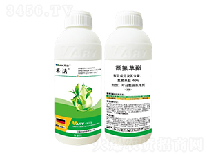 40%�������-�̷�-�f��