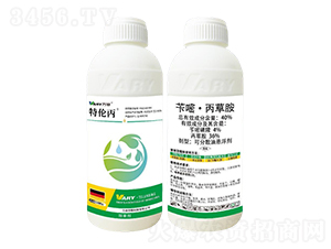 40%�S�ס����ݰ�-�؂���-�f��