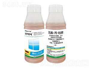 36%�������������-��Ǻ�-�f��