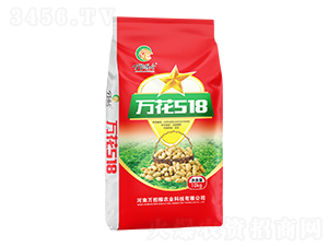 �����N��-�f��518-�f��(d��n)�Z