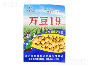 �󶹷N��-�f��19-�f��(d��n)�Z