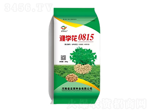 �����N��-姌W(xu��)��0815-�h���N�I(y��)