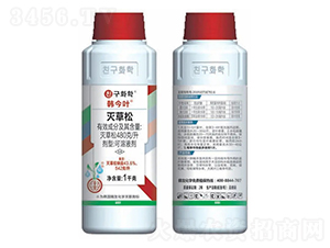 ˮ������݄�������ɣ�-�n���~-�n�ѻ��W(xu��)