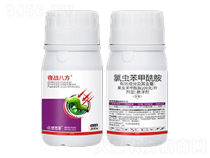 200��ÿ�����x(ch��ng)��������-ҹ��(zh��n)�˷�-���ׁ�