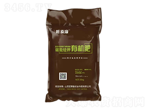 ̼�ܹ���ЙC��-���|(zh��)��-�V��ͨ