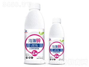 �����\-��ï����