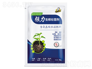 ��(qi��ng)���������焩-��˹��