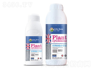 ֲ�：��������-�۶����� 