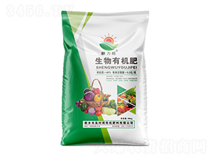 �����ЙC(j��)��-������-���r(sh��)��