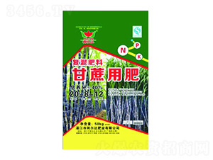 ���ጣ�Ï�(f��)�����20-8-12-�����_(d��)�ʘI(y��)