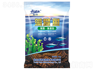 藻愛·魚-嘉特生物