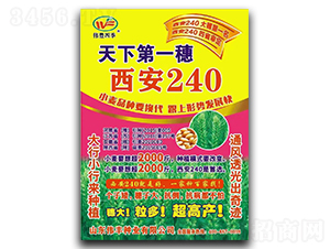 ����240-С���N��-���S�N�I(y��)