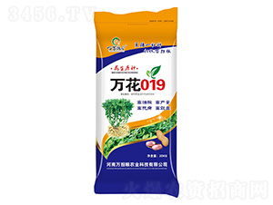 �f��019-�����N��-�f��(d��n)�Z