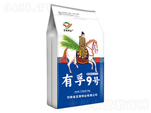 С���N��-����9̖(h��o)-�h���N�I(y��) 