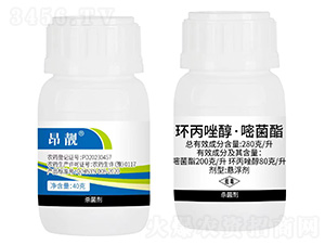 280��/���h(hu��n)���򴼡��׾���-���n-���N�r(n��ng)�I(y��)