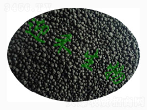 ���䌣�÷ʣ�С����-ӭ������