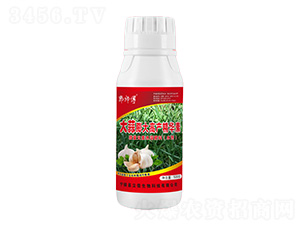 大蒜膨大高產(chǎn)精華素-郭師傅-立信生物