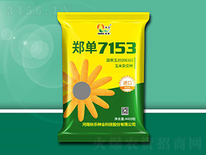 鄭單7153-玉米種子-秋樂種業(yè)