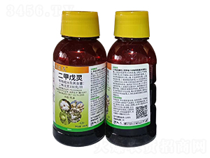 330��ÿ���������`-����(j��)��-�l(xi��ng)�弾�L(f��ng)-���˹����r(n��ng)��